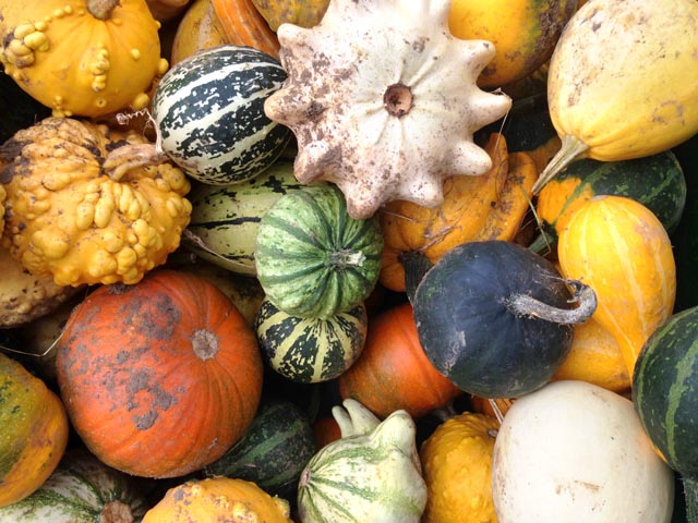 Pumpkins