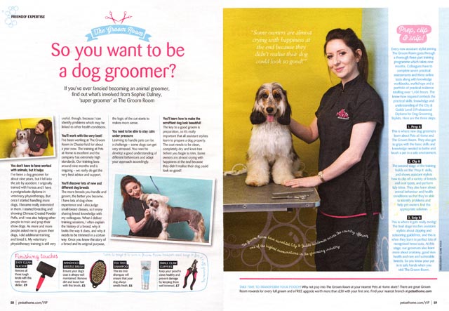 pets at home editorial photography - June '16 news