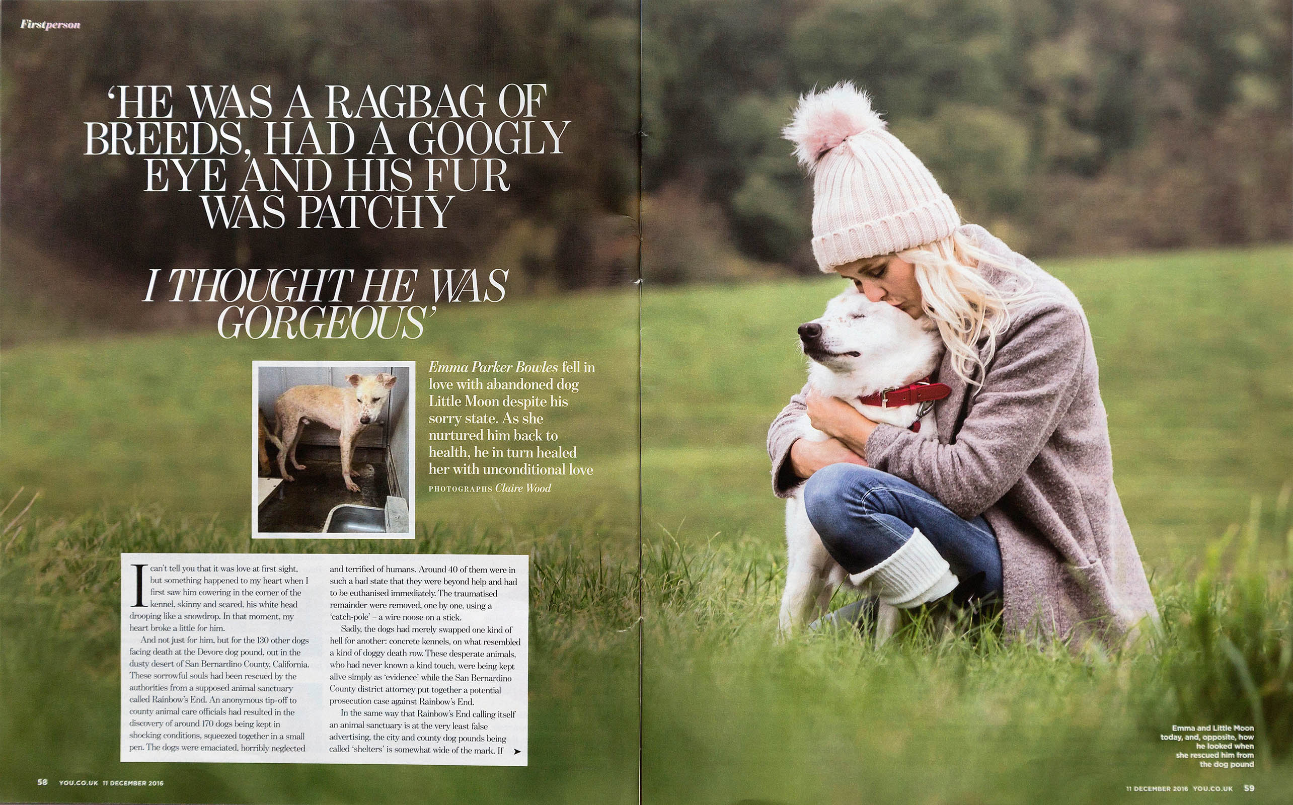 Editorial Real life photography leeds spread emmaparkerbowles littlemoon animals rescue you magazine photographer editorial 1